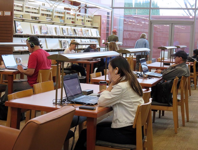 studia dzienne