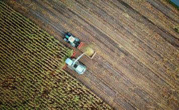 Dlaczego ochrona plonów przed szkodnikami ma znaczenie Dlaczego ochrona plonów przed szkodnikami ma znaczenie