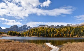 Ile za staż z urzędu pracy 2023?