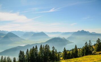 Czy komornik może zająć całą wypłatę z konta?