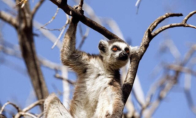 Co to są zachowania agresywne? Co to są zachowania agresywne?