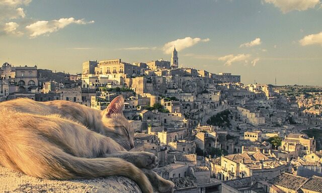 Jak odebrać bonus Revolut?