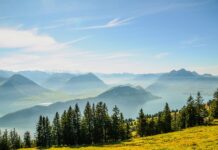 Czy komornik może zająć konto członka rodziny?