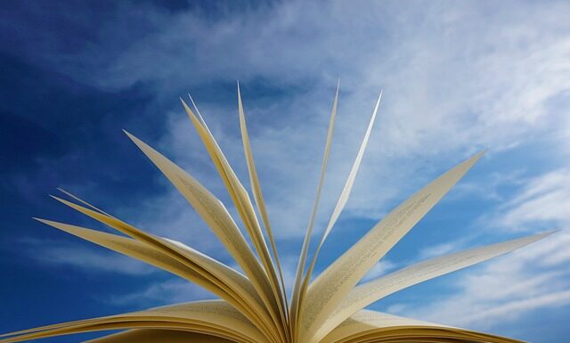 Jak sprawdzić zawartość strony internetowej?