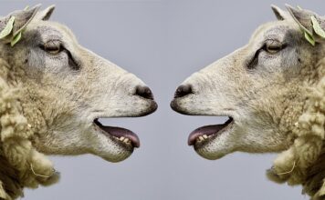 Co to jest komunikowanie masowe? Co to jest komunikowanie masowe?