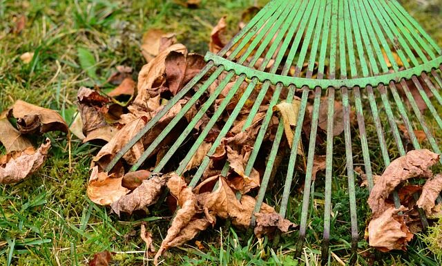 Czy bank PKO BP pobiera prowizję?