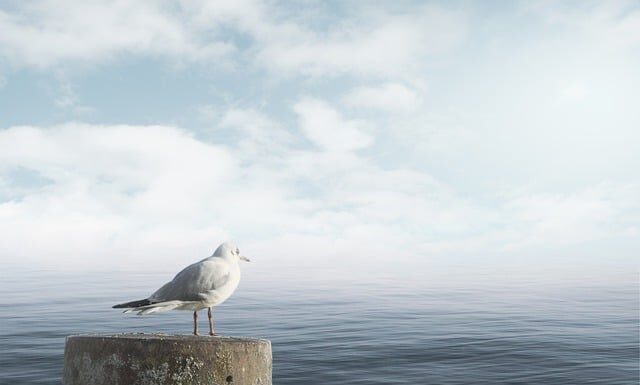 Jak uspokoić agresywna osobę? Jak uspokoić agresywna osobę?