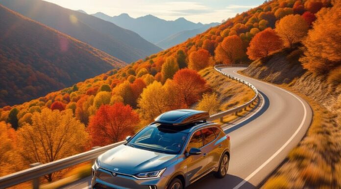 Toyota Collection – jakie gadżety i akcesoria oferuje uznana marka? Oferta domów szkieletowych